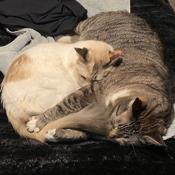 Meet your Posher, Michelle - Picture 5 of 17